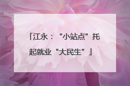 江永：“小站点”托起就业“大民生”