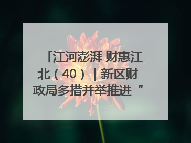 江河澎湃 财惠江北（40）｜新区财政局多措并举推进“一卡通”管理 保障惠民惠农补贴精准高效发放