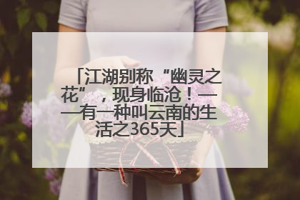 江湖别称“幽灵之花”，现身临沧！——有一种叫云南的生活之365天