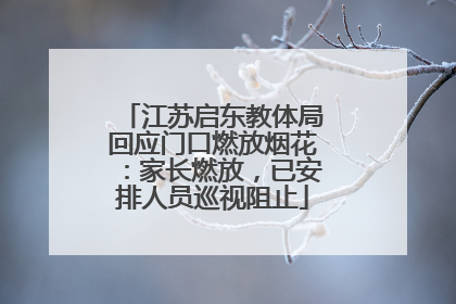 江苏启东教体局回应门口燃放烟花：家长燃放，已安排人员巡视阻止
