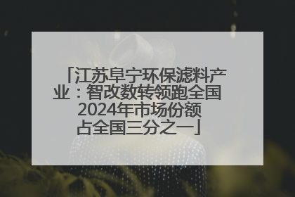 江苏阜宁环保滤料产业：智改数转领跑全国 2024年市场份额占全国三分之一