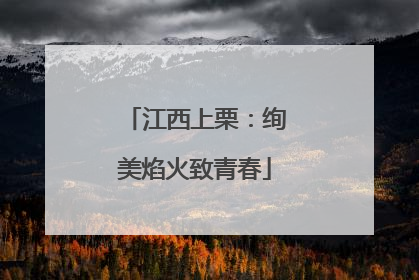 江西上栗：绚美焰火致青春