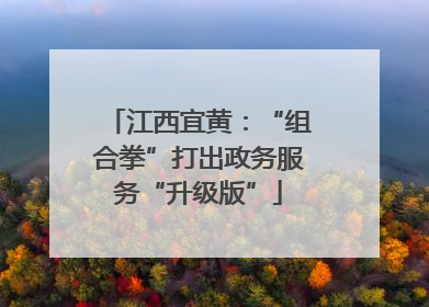江西宜黄：“组合拳”打出政务服务“升级版”