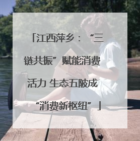 江西萍乡：“三链共振”赋能消费活力 生态五陂成“消费新枢纽”