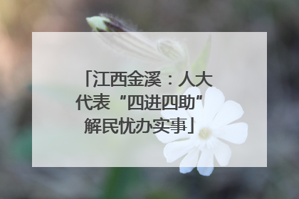 江西金溪：人大代表“四进四助”解民忧办实事