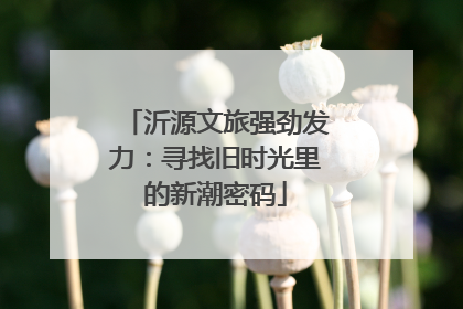 沂源文旅强劲发力：寻找旧时光里的新潮密码