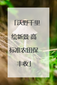 沃野千里绘新景 高标准农田保丰收
