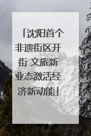 沈阳首个非遗街区开街 文旅新业态激活经济新动能