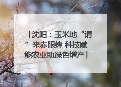 沈阳：玉米地“请”来赤眼蜂 科技赋能农业助绿色增产