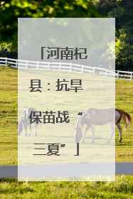 河南杞县：抗旱保苗战“三夏”