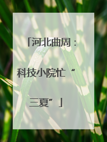 河北曲周：科技小院忙“三夏”