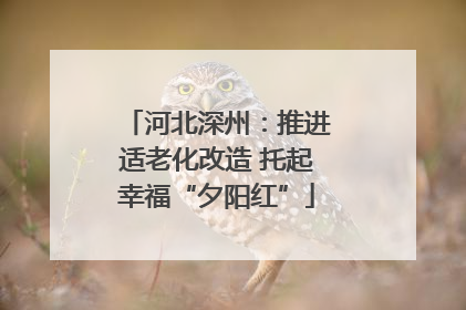 河北深州：推进适老化改造 托起幸福“夕阳红”
