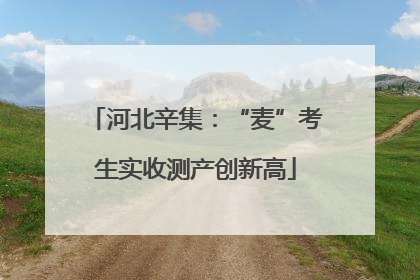 河北辛集：“麦”考生实收测产创新高