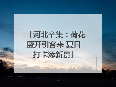 河北辛集：荷花盛开引客来 夏日打卡添新景