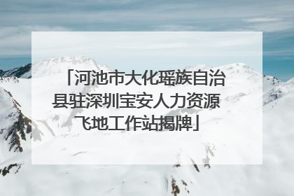 河池市大化瑶族自治县驻深圳宝安人力资源飞地工作站揭牌