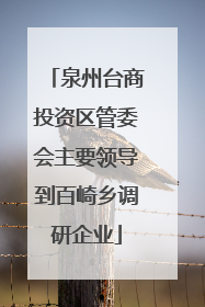 泉州台商投资区管委会主要领导到百崎乡调研企业