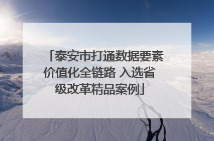 泰安市打通数据要素价值化全链路 入选省级改革精品案例