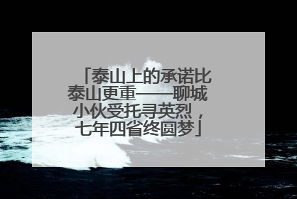 泰山上的承诺比泰山更重——聊城小伙受托寻英烈，七年四省终圆梦