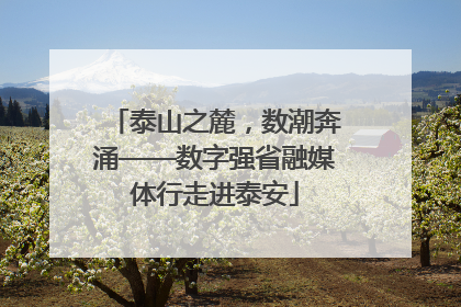 泰山之麓，数潮奔涌——数字强省融媒体行走进泰安