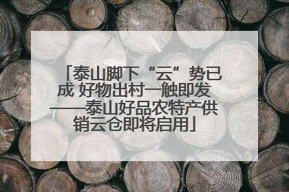 泰山脚下“云”势已成 好物出村一触即发——泰山好品农特产供销云仓即将启用