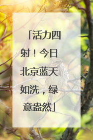 活力四射！今日北京蓝天如洗，绿意盎然