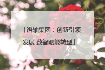 洛轴集团：创新引领发展 数智赋能转型