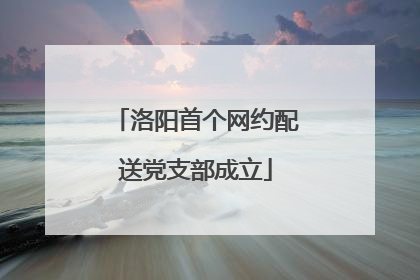 洛阳首个网约配送党支部成立