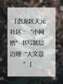 洛龙区天元社区：“小网格”书写基层治理“大文章”