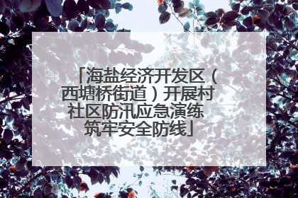 海盐经济开发区（西塘桥街道）开展村社区防汛应急演练 筑牢安全防线
