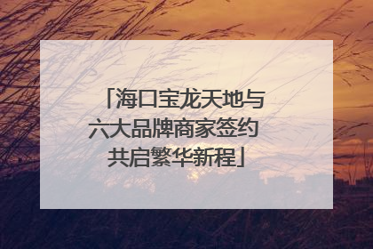 海口宝龙天地与六大品牌商家签约 共启繁华新程