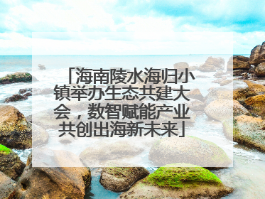 海南陵水海归小镇举办生态共建大会，数智赋能产业共创出海新未来