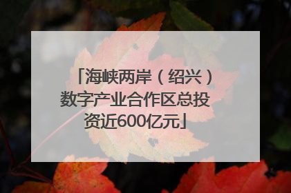 海峡两岸（绍兴）数字产业合作区总投资近600亿元