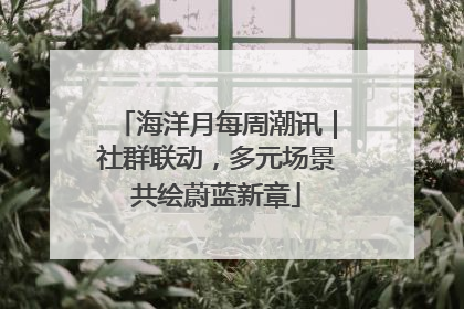 海洋月每周潮讯｜社群联动，多元场景共绘蔚蓝新章