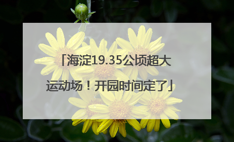 海淀19.35公顷超大运动场！开园时间定了