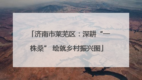 济南市莱芜区：深耕“一株桑” 绘就乡村振兴图