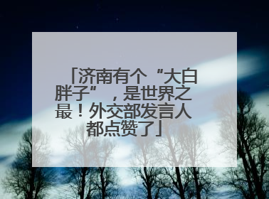 济南有个“大白胖子”，是世界之最！外交部发言人都点赞了