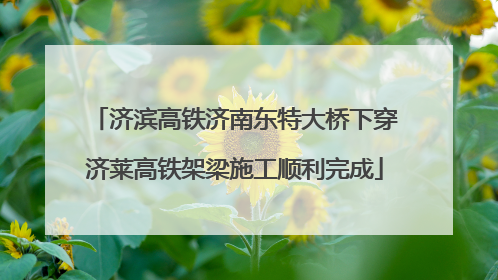 济滨高铁济南东特大桥下穿济莱高铁架梁施工顺利完成