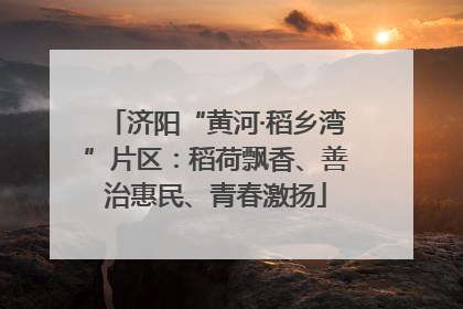 济阳“黄河·稻乡湾”片区：稻荷飘香、善治惠民、青春激扬