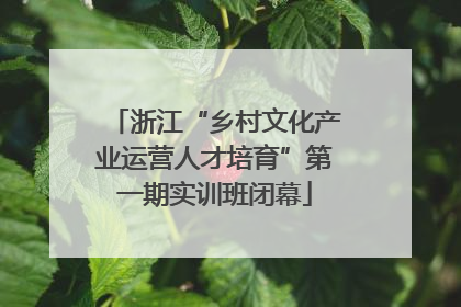浙江“乡村文化产业运营人才培育”第一期实训班闭幕
