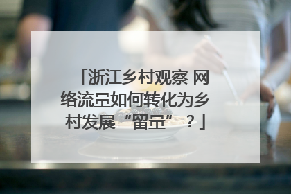 浙江乡村观察 网络流量如何转化为乡村发展“留量”？