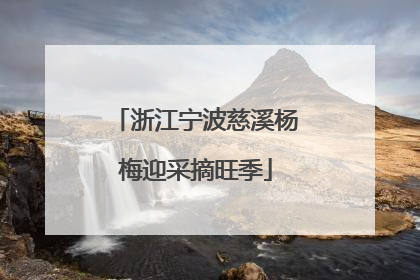 浙江宁波慈溪杨梅迎采摘旺季