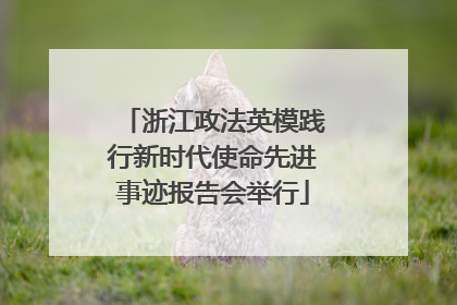 浙江政法英模践行新时代使命先进事迹报告会举行