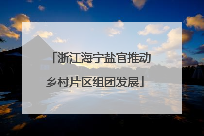 浙江海宁盐官推动乡村片区组团发展