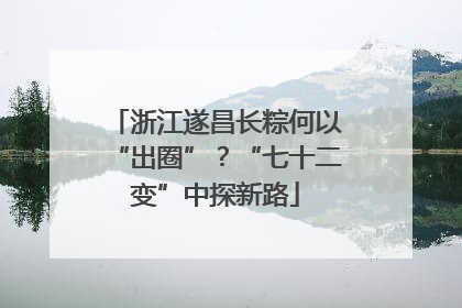 浙江遂昌长粽何以“出圈”？“七十二变”中探新路