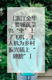 浙江金华：婺城蔬菜也“坐”上了飞机，无人机为乡村振兴插上“翅膀”