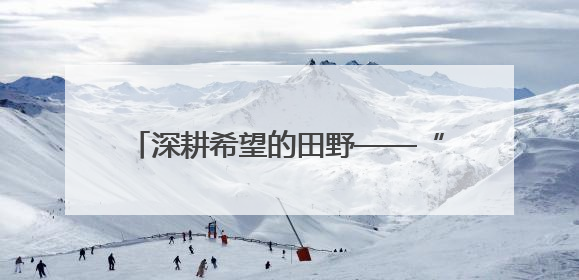 深耕希望的田野——“综合试验田”里庆丰收