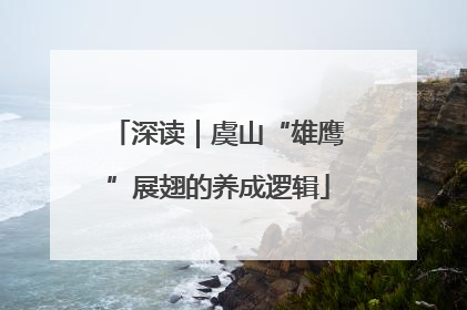 深读｜虞山“雄鹰”展翅的养成逻辑