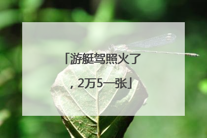 游艇驾照火了，2万5一张