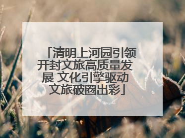 清明上河园引领开封文旅高质量发展 文化引擎驱动 文旅破圈出彩