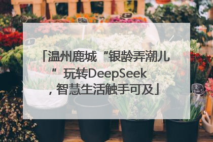 温州鹿城“银龄弄潮儿”玩转DeepSeek，智慧生活触手可及